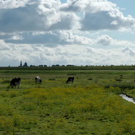 فندق مبيت وإفطار Posthoorn 3*