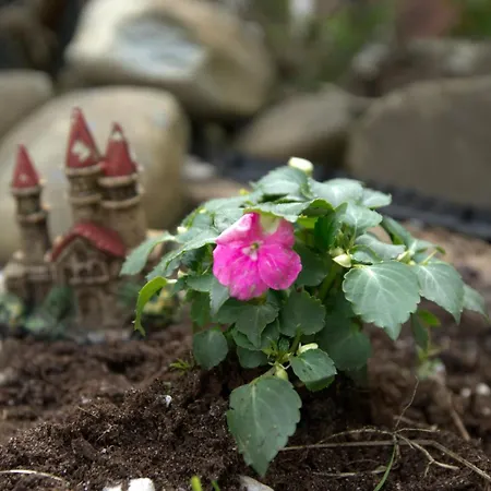 Bed & Breakfast Posthoorn